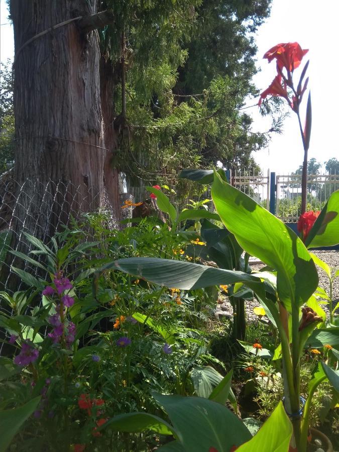 Twin Cottages Ureki Bagian luar foto